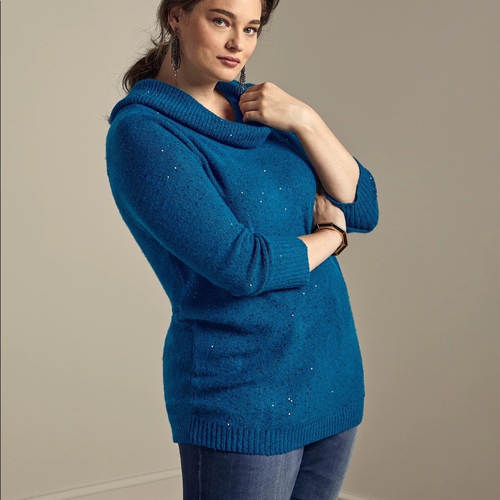 Sparkly Sweater - image 1